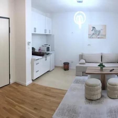 Laelegance Old Town 公寓 塞拉耶佛
